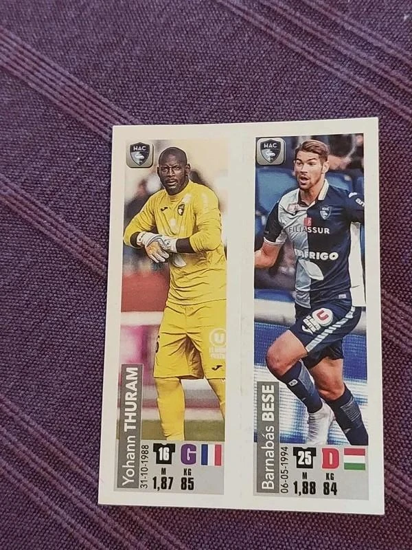 Panini / Sticker / Havre AC / Foot 2018-2019